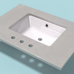 Vanity Top - 31"x22"x3/4"